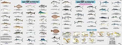 Captain Segull's Chart Fishes of North Atlantic