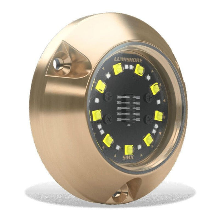 Lumishore 010-04504-00 ECLIPSE SMX24 Single Light Surface Mount Underwater Light, Blue/White