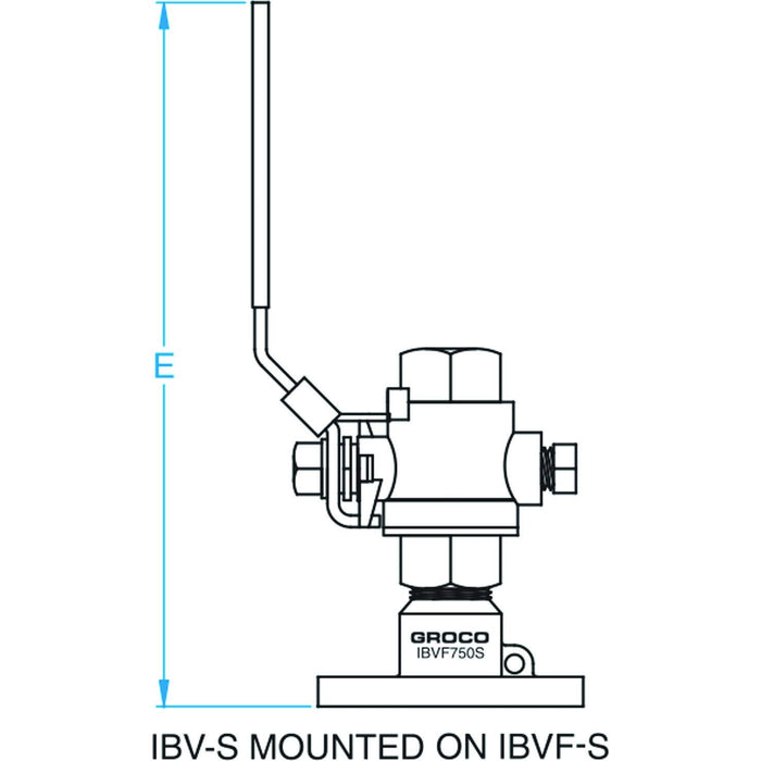 Groco IBV-375-S In-Line Check Value, SS, 3/8"