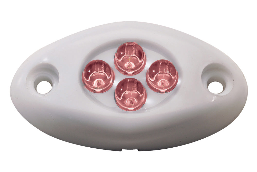 Innovative Lighting 4 LED Courtsey Surface Mount Light - White Case