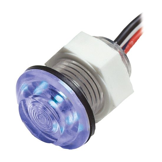 Innovative Lighting LED Bulkhead / Livewell Light - White Flush Mount