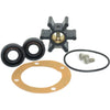 Kit de servicio de bomba Johnson 09-45589