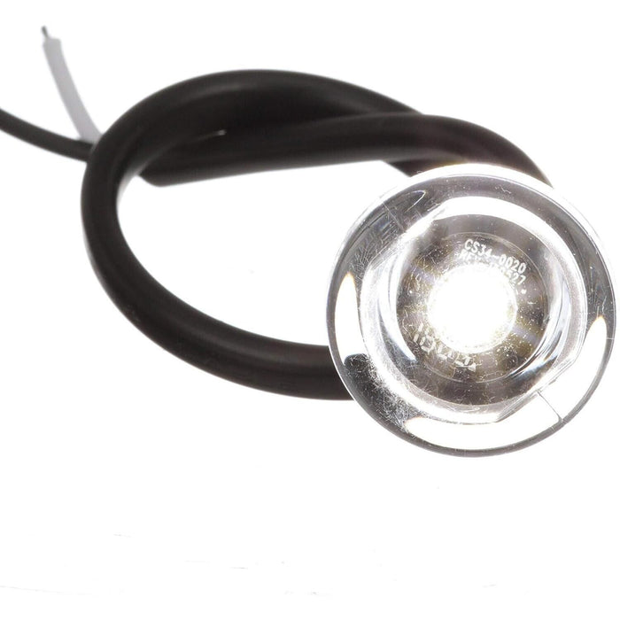 Seachoice 50-05481 Livewell Light, Mini LED Accent, White, Waterproof, 50, 000 Hours