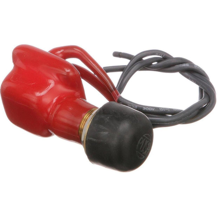 Seachoice 11761 2-Position Off/Momentarily On Push Button Switch, 6-36V, 18 Gauge Wire Leads