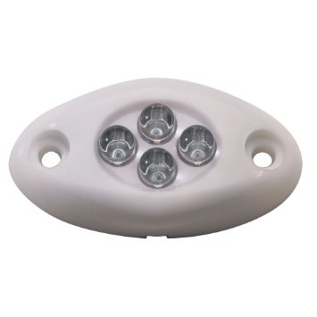 4 LED Courtsey Surface Mount Light - White Case